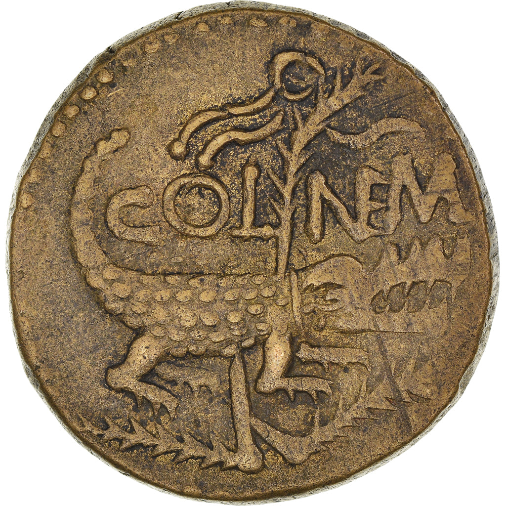 Münze,
Augustus und Agrippa,
Nemausus