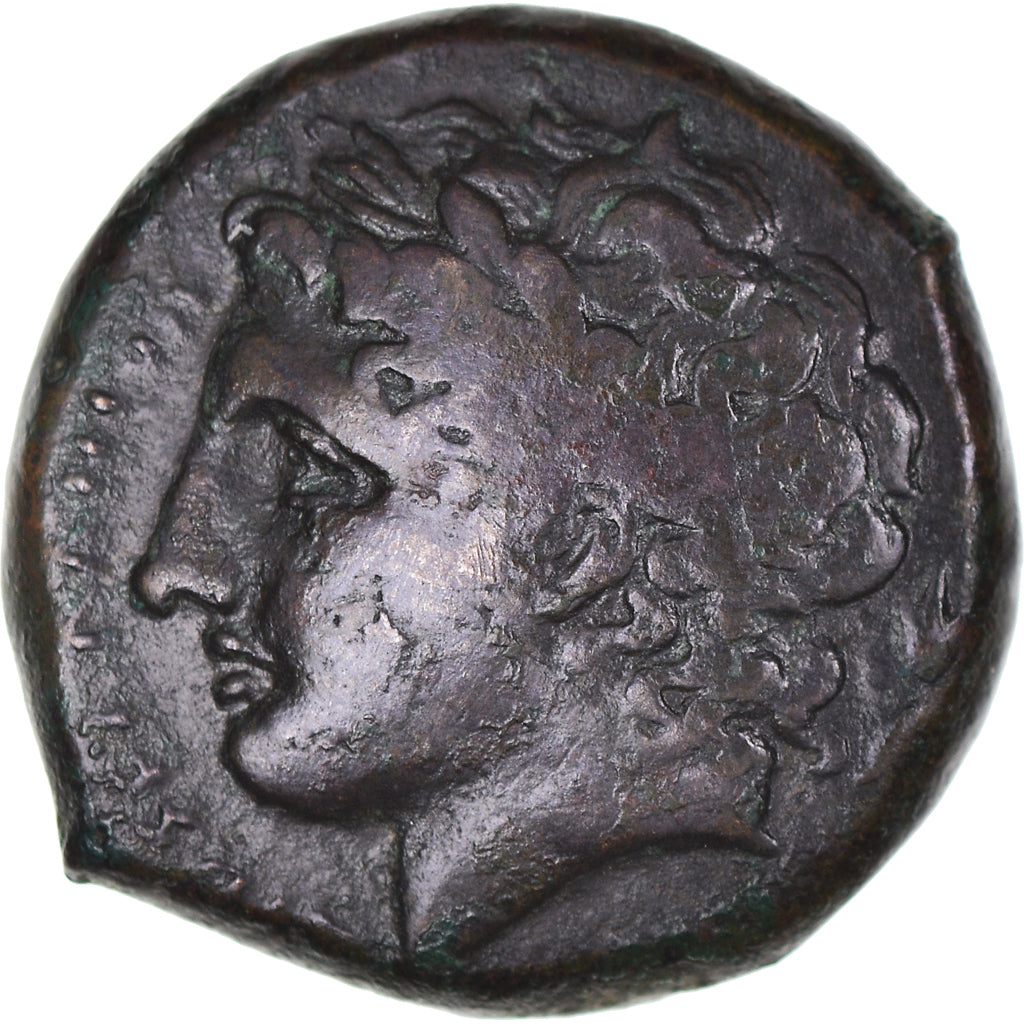 Münze,
Sizilien,
Hiketas II