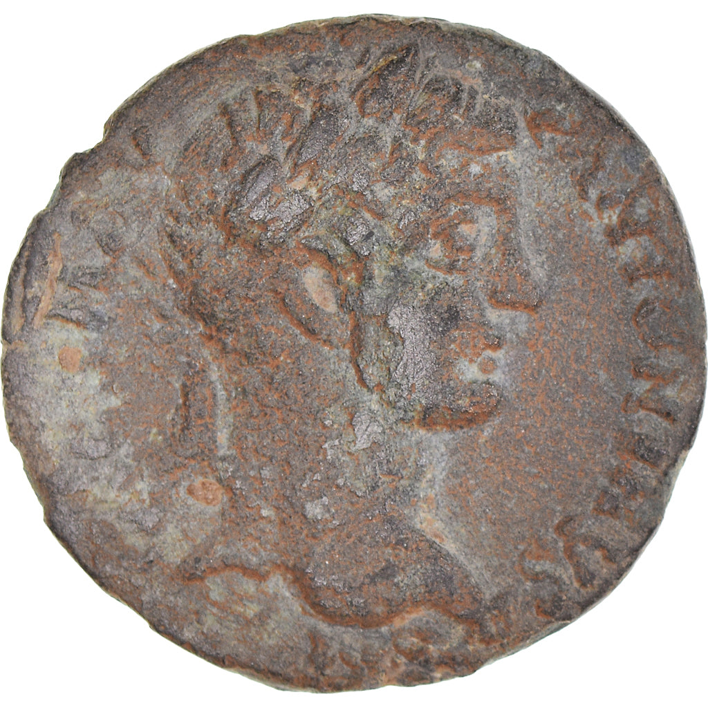 Münze,
Pisidien,
Elagabalus