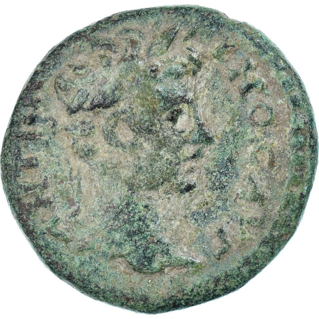 Münze,
Caracalla,
Æ