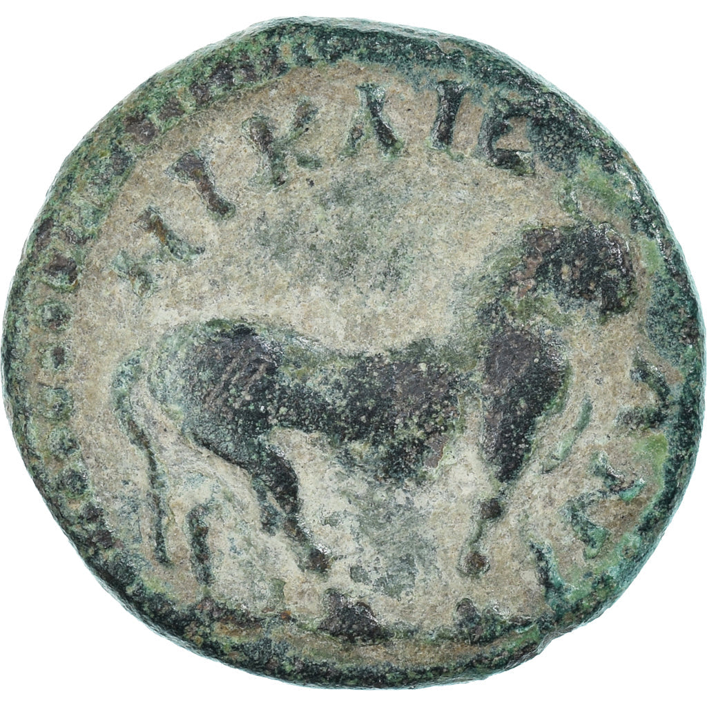 Münze,
Caracalla,
Æ