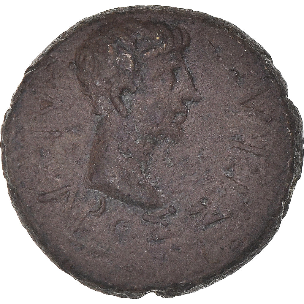 Münze,
Thrakien,
Rhoimetalkes I & Augustus