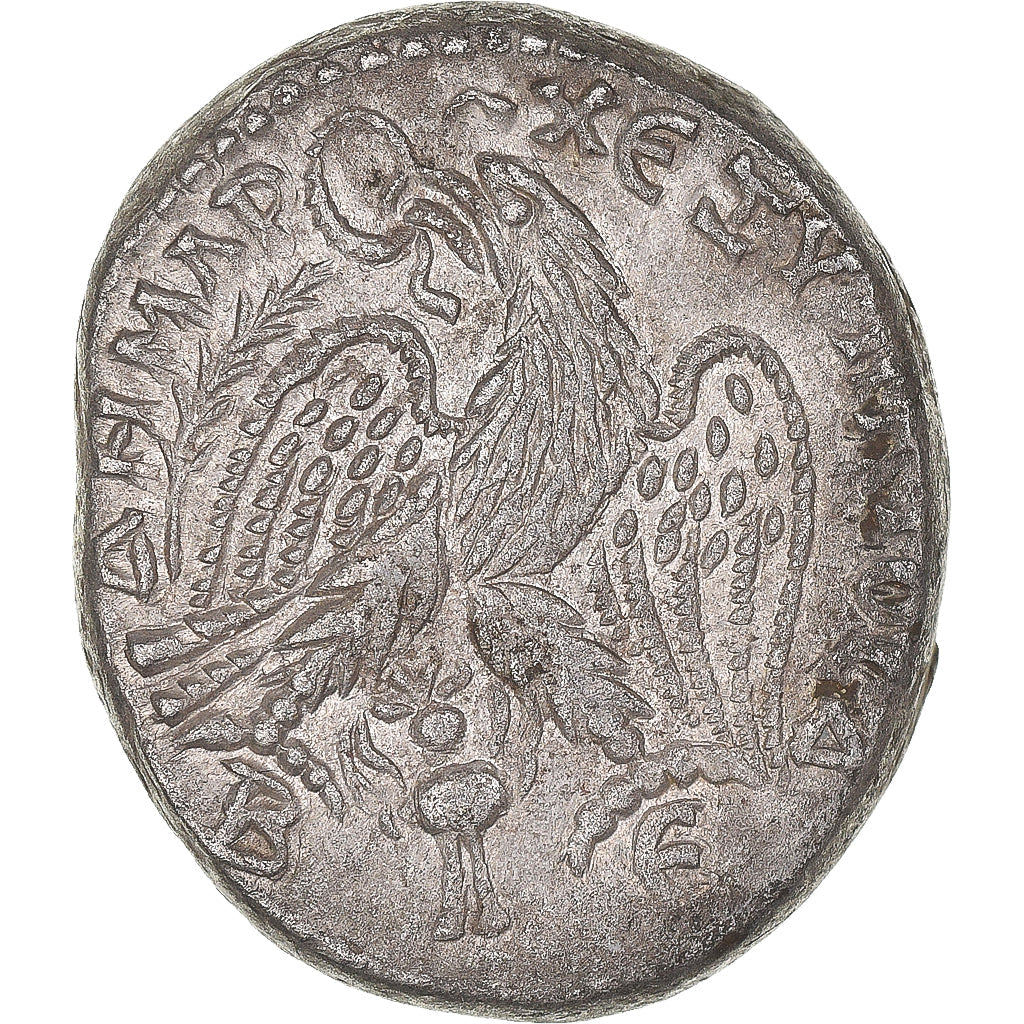Münze,
Cyrrhestica,
Macrinus