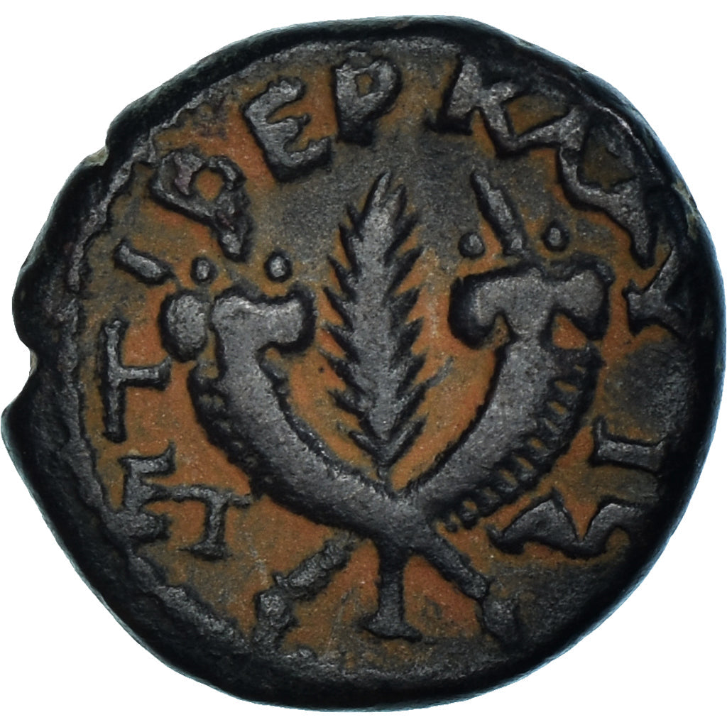Münze,
Judäa,
Trajan