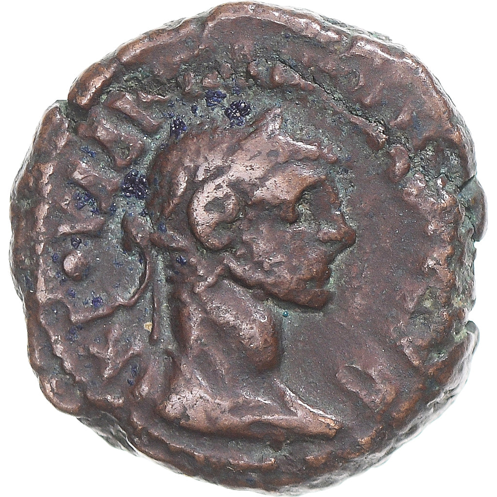 Münze,
Ägypten,
Diokletian