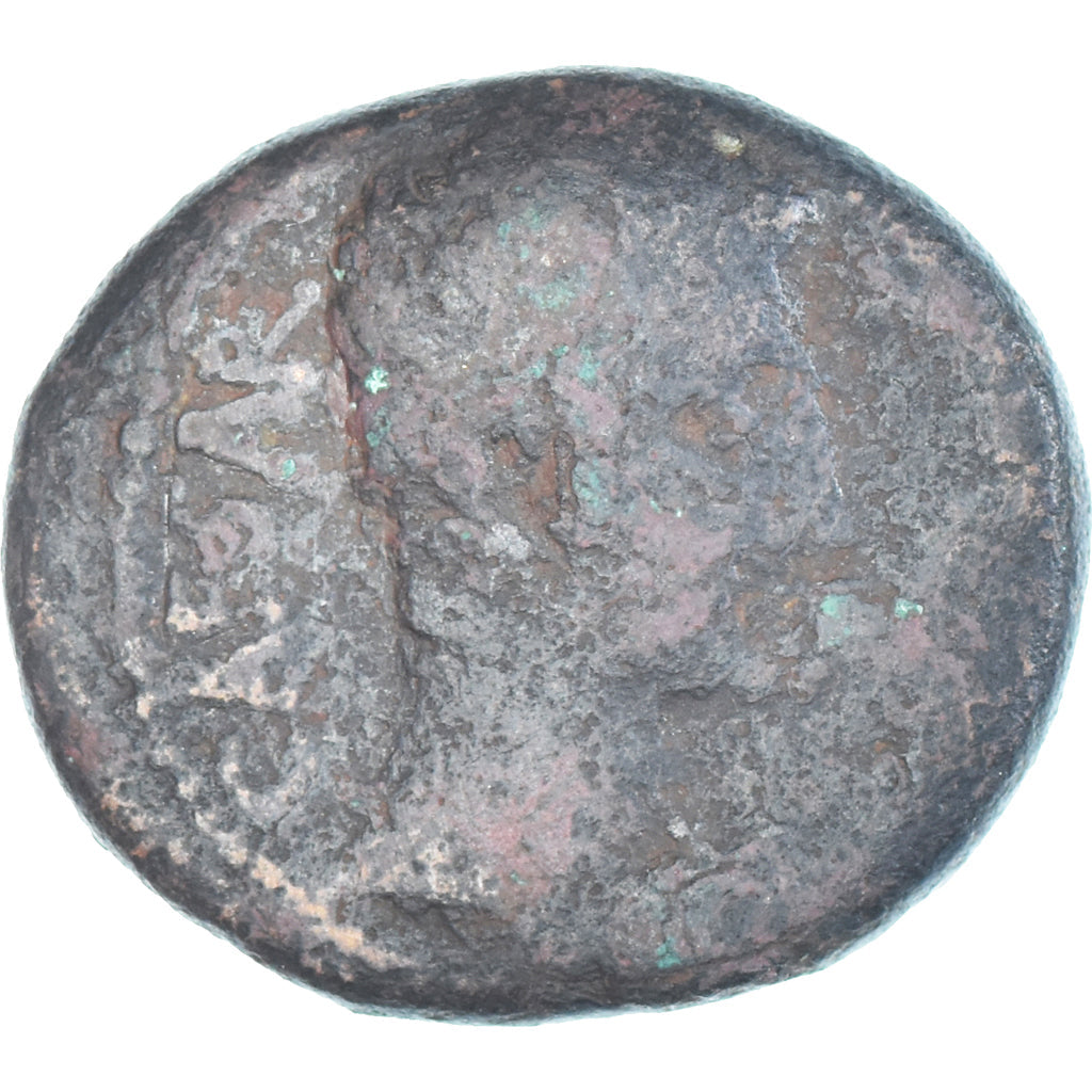 Münze,
Kleinasien,
Augustus