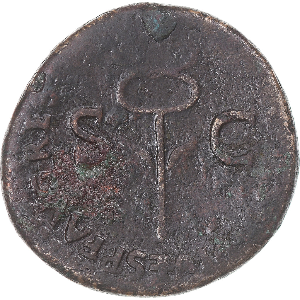 Münze,
Tiberius,
unter Titus