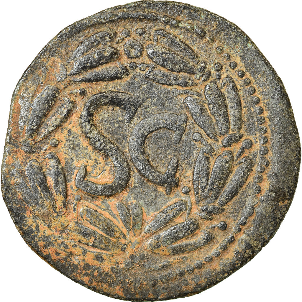 Münze,
Seleukis und Pieria,
Domitian