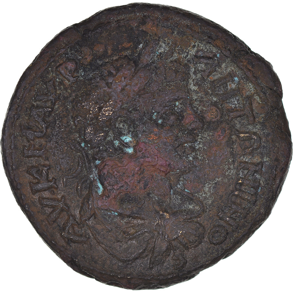 Münze, 
  
  Moesia inferior, 
  
  Caracalla