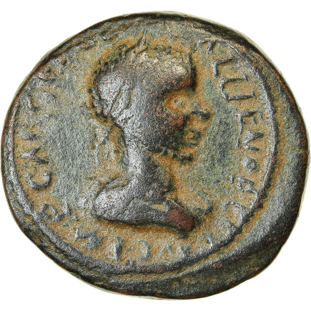 Münze, 
  
  Pisidien, 
  
  Gallienus